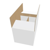 Self Lock Box with Compartment